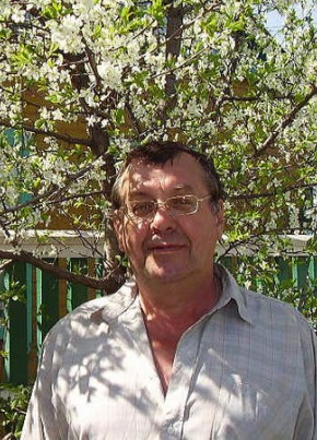 Александр, 71, Россия, Зерноград