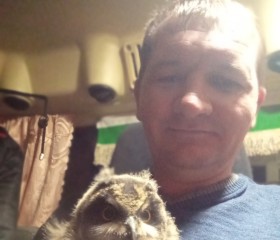 Aleksandr, 44, Shablykino