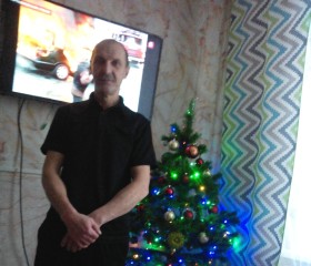 Анатолий Шилкин, 58 лет, Переславль-Залесский