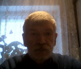 Анатолий, 73 года, Нижний Новгород