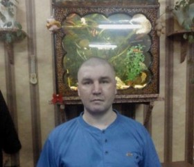 Николай, 45 лет, Ульяновск