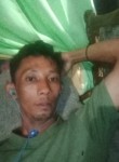 Ian, 38 лет, Prabumulih