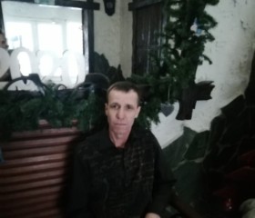 евгений, 52 года, Барнаул