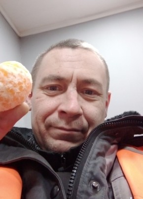 Владимир Соколов, 37, Россия, Няндома