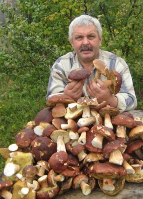 Владимир, 69, Россия, Петрозаводск