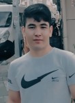 Celil, 19 лет, İstanbul