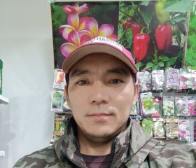 Мирлан Карабаев, 36 лет, Бишкек