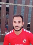 Hassan Ashry Abd, 28 лет, محافظة مادبا