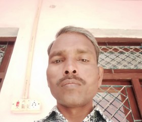 Awaneesh, 42 года, Kanpur