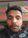 Mohit Garg, 36 лет, Ludhiana