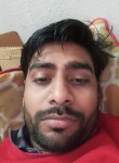 akhilesh babu, 26 лет, Panipat