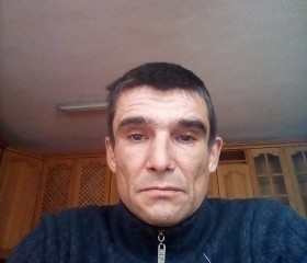 александр, 48 лет, Ростов-на-Дону