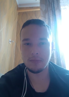 Алексей, 28, Рэспубліка Беларусь, Рэчыца