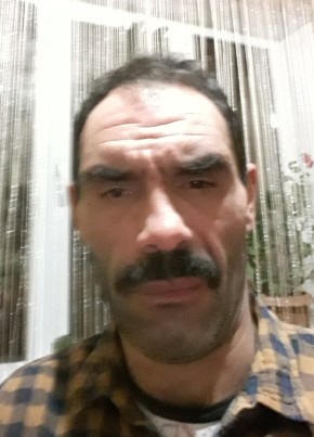 Oleg, 44, Belarus, Brest