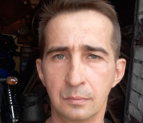 Александр, 48 лет, Пикалёво