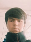 Rustam, 19 лет, Toshkent