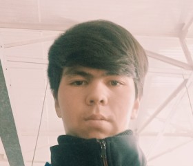 Rustam, 19 лет, Toshkent