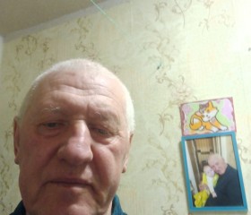 Михаил, 67 лет, Тула