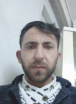 Hamza, 33 года, Belek