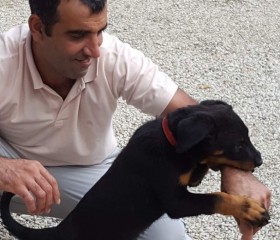 Mouus, 41, Rochefort