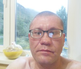 Илья, 42 года, Кировск (Мурманская обл.)