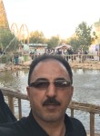 حسين, 36 лет, الموصل الجديدة