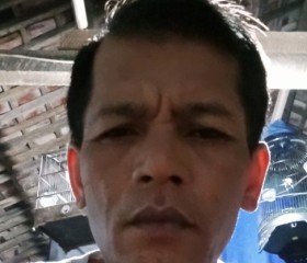 Raja tega, 35 лет, Kota Surakarta