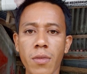 Herman, 35 лет, Kabupaten Poso