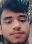 Bijoy Sarkar, 24 года, ঢাকা