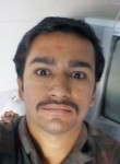 Vivek, 26 лет, Kundla