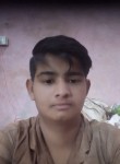 Ankit Yadav, 20 лет, Mainpuri