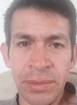 David Ibarra, 50 лет, México Distrito Federal