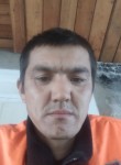 Hamdam, 34 года, Хабаровск