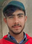 haroon, 19 лет, لاہور