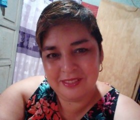 Graciela, 43 года, Ciudad de Corrientes