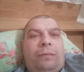 Андрей, 42 года, Саранск