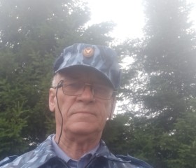 Александр Попов, 71 год, Красноярск