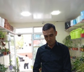 AZƏRBAYCAN, 37, Sumqayit