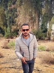 Mostafa, 30 лет, الزقازيق