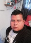 Luis, 33 года, Monterrey City
