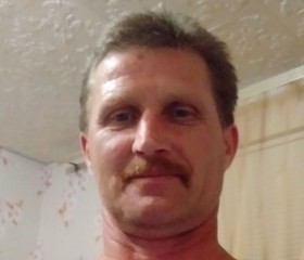 Владимир, 53 года, Клин