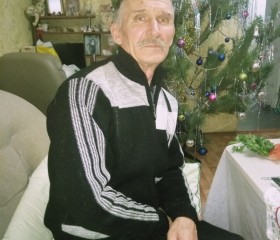 Василий, 69 лет, Сердобск