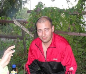 николай, 47 лет, Томск