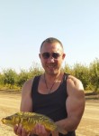 Алекс, 42 года, Лазаревское