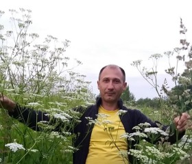 Дмитрий Петров, 45 лет, Боровск