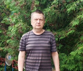 Димон, 49 лет, Донской (Тула)