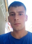 Антон, 25 лет, Пашковский