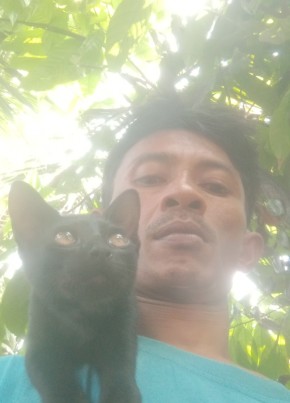 Oke, 39, Indonesia, Percut