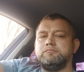 Сергей, 39 лет, Электрогорск