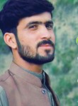 Shahid khan, 26 лет, پشاور